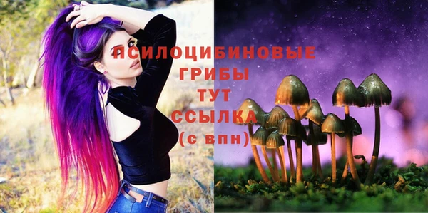 прущие крисы Белоозёрский